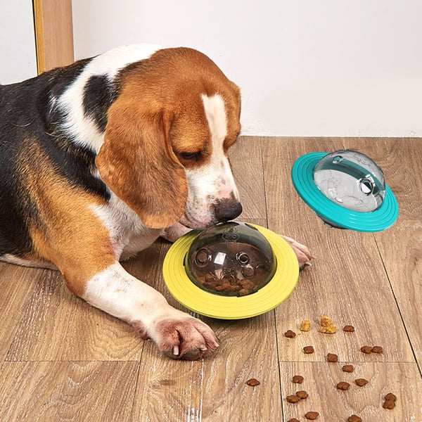 Pet Products